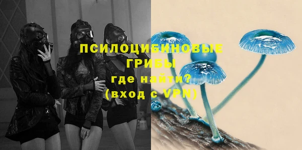 СК Аркадак