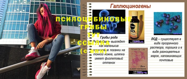 a pvp Армянск