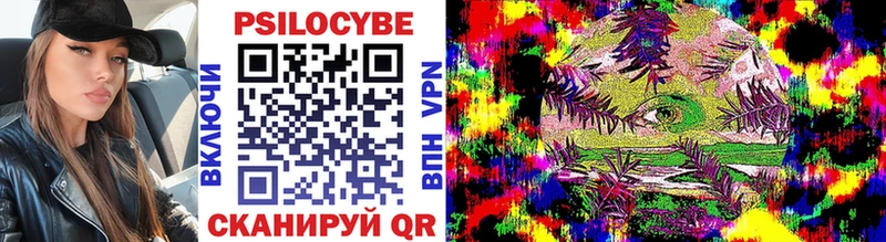 Псилоцибиновые грибы прущие грибы  дарнет шоп  Тогучин 