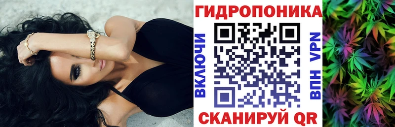 shop какой сайт  Тогучин  Канабис LSD WEED 